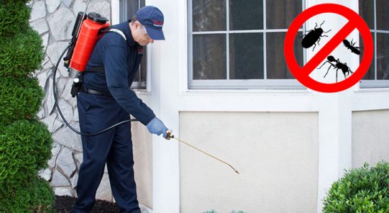 Bandırma Gümüşkurt İlaçlama böcek ilaçlama ve haşere kontrolü — ilaclama-tr.com